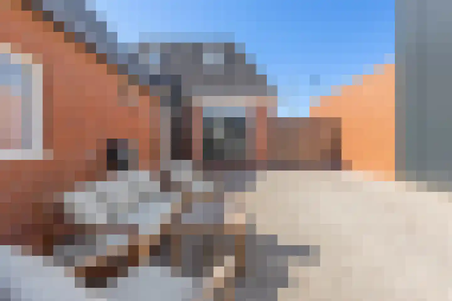 U.T. Delfiaweg 12 Groningen thumbnail 34