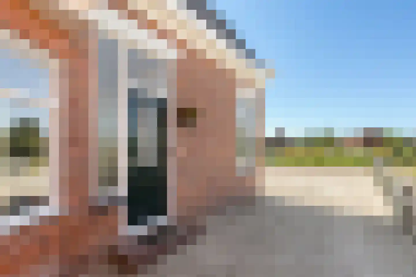 U.T. Delfiaweg 12 Groningen thumbnail 39