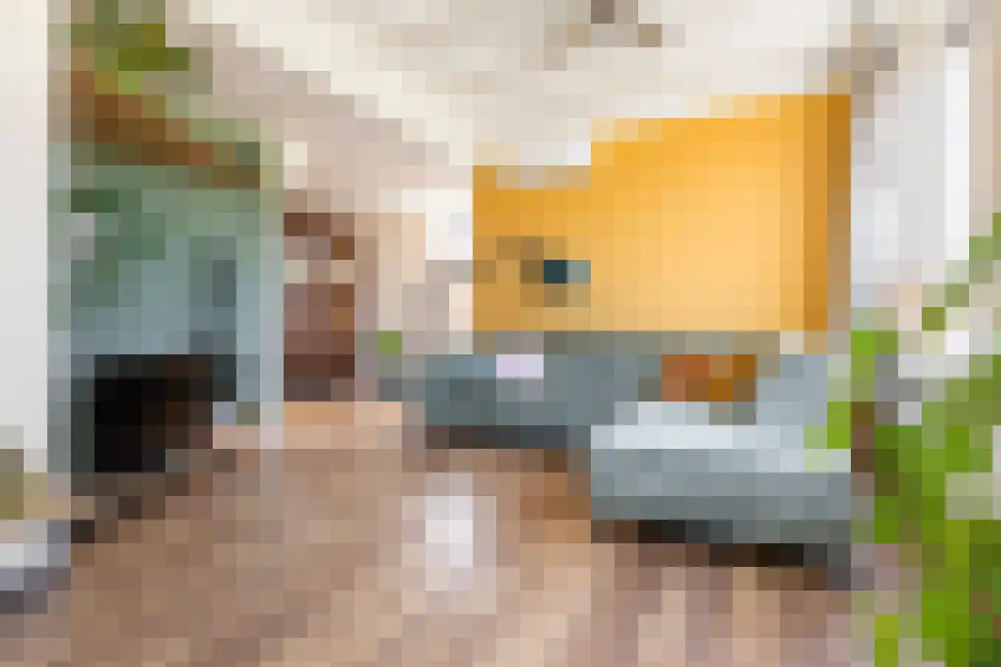 U.T. Delfiaweg 12 Groningen thumbnail 7