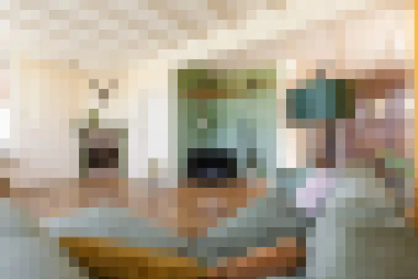 U.T. Delfiaweg 12 Groningen thumbnail 8