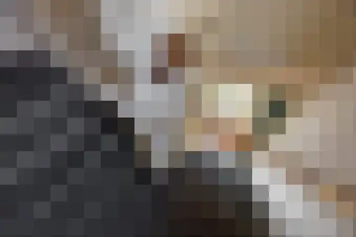 U.T. Delfiaweg 14 Groningen thumbnail 13