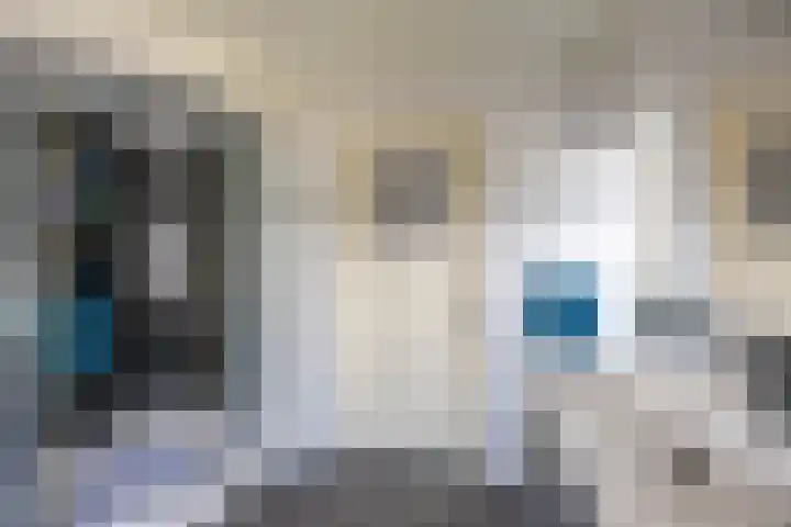 U.T. Delfiaweg 14 Groningen thumbnail 20