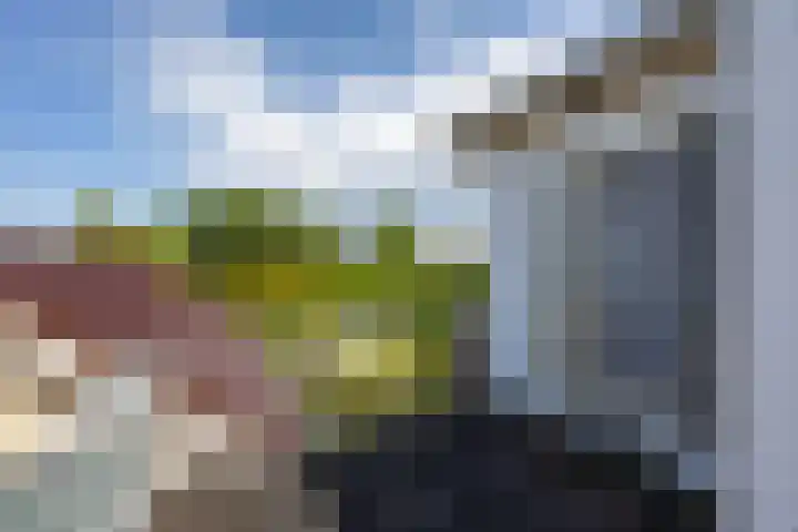 U.T. Delfiaweg 14 Groningen thumbnail 22