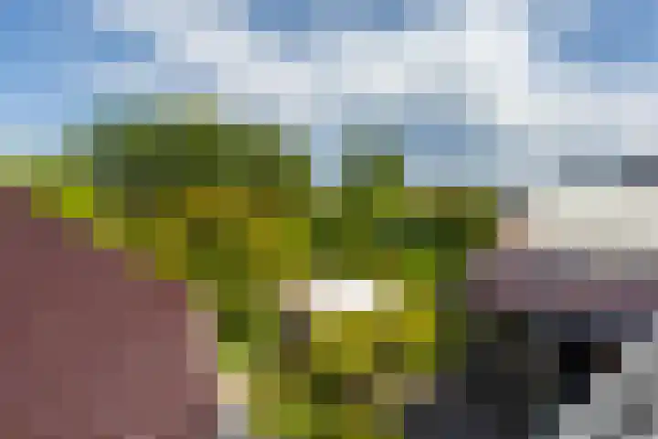 U.T. Delfiaweg 14 Groningen thumbnail 23