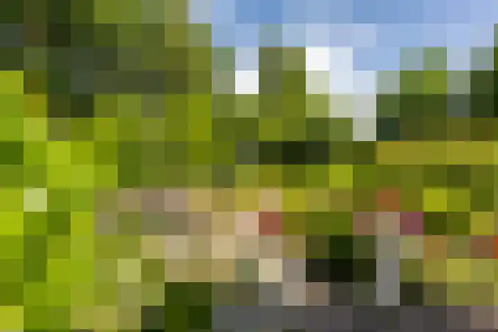 U.T. Delfiaweg 14 Groningen thumbnail 24