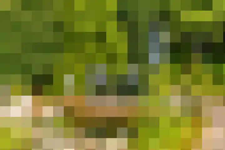 U.T. Delfiaweg 14 Groningen thumbnail 25