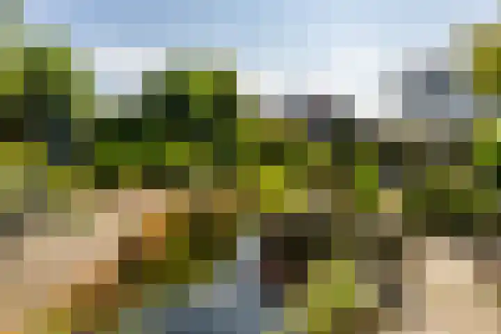 U.T. Delfiaweg 14 Groningen thumbnail 26