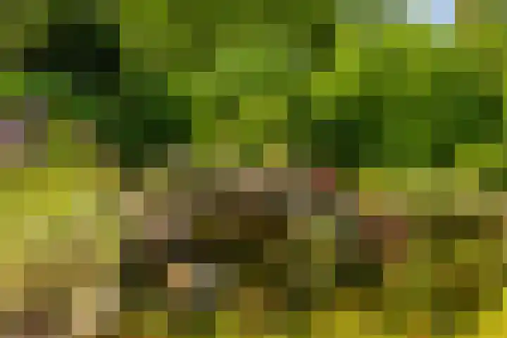 U.T. Delfiaweg 14 Groningen thumbnail 27