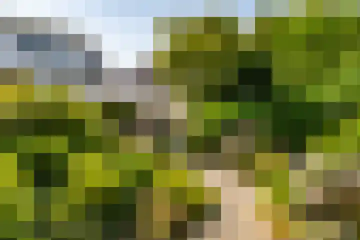 U.T. Delfiaweg 14 Groningen thumbnail 28