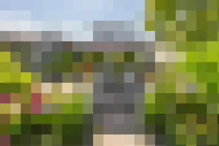 U.T. Delfiaweg 14 Groningen thumbnail 29