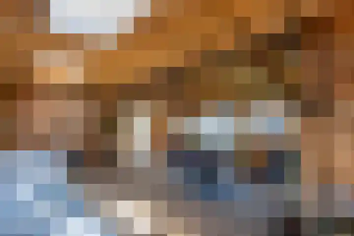 U.T. Delfiaweg 14 Groningen thumbnail 31