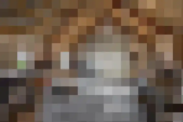 U.T. Delfiaweg 14 Groningen thumbnail 34