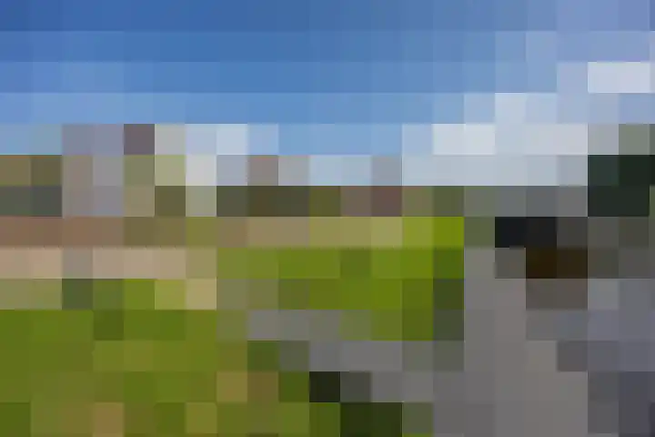 U.T. Delfiaweg 14 Groningen thumbnail 43