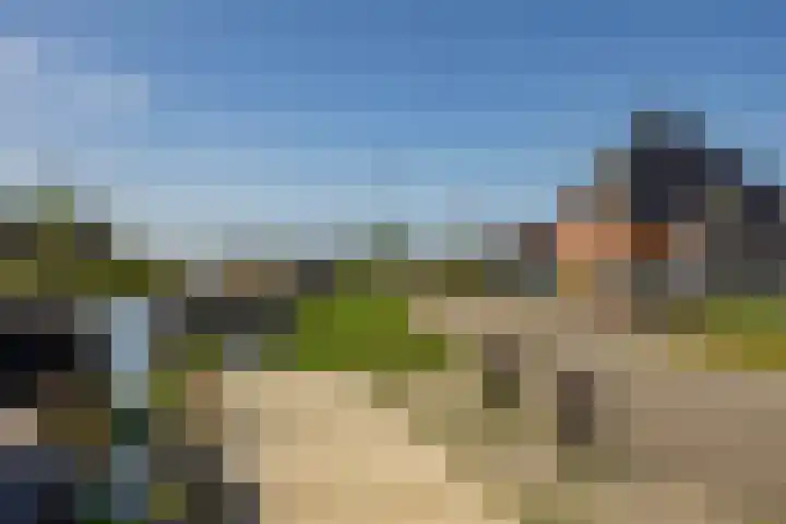U.T. Delfiaweg 14 Groningen thumbnail 44