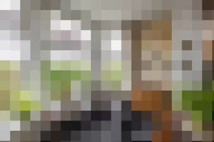 U.T. Delfiaweg 14 Groningen thumbnail 5