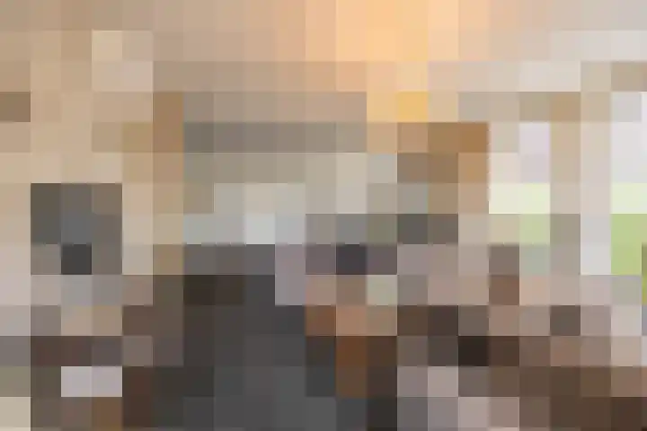 U.T. Delfiaweg 14 Groningen thumbnail 6