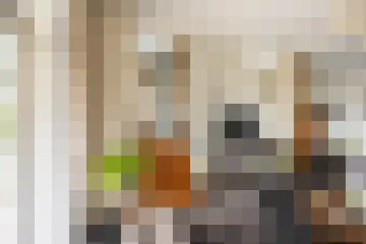 U.T. Delfiaweg 14 Groningen thumbnail 7