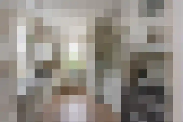 U.T. Delfiaweg 14 Groningen thumbnail 9
