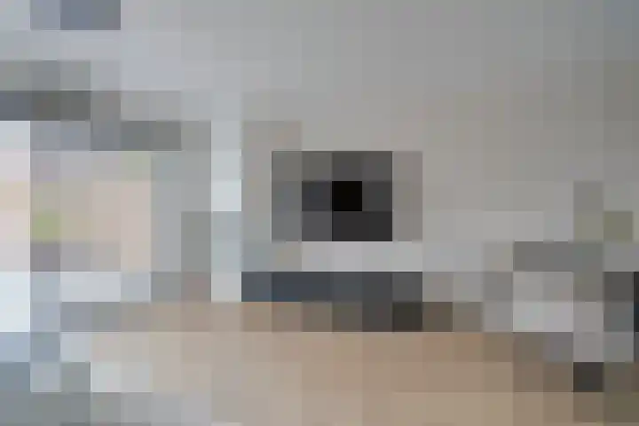 Ubachsberg 16 De Meern thumbnail 11