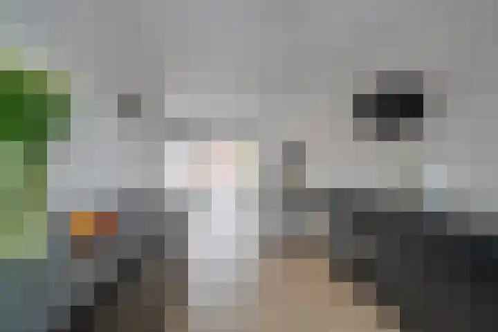 Ubachsberg 16 De Meern thumbnail 16