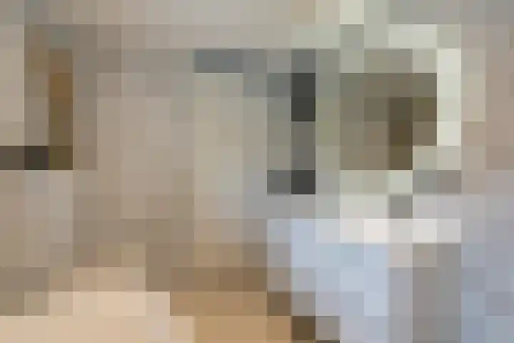 Ubachsberg 16 De Meern thumbnail 36