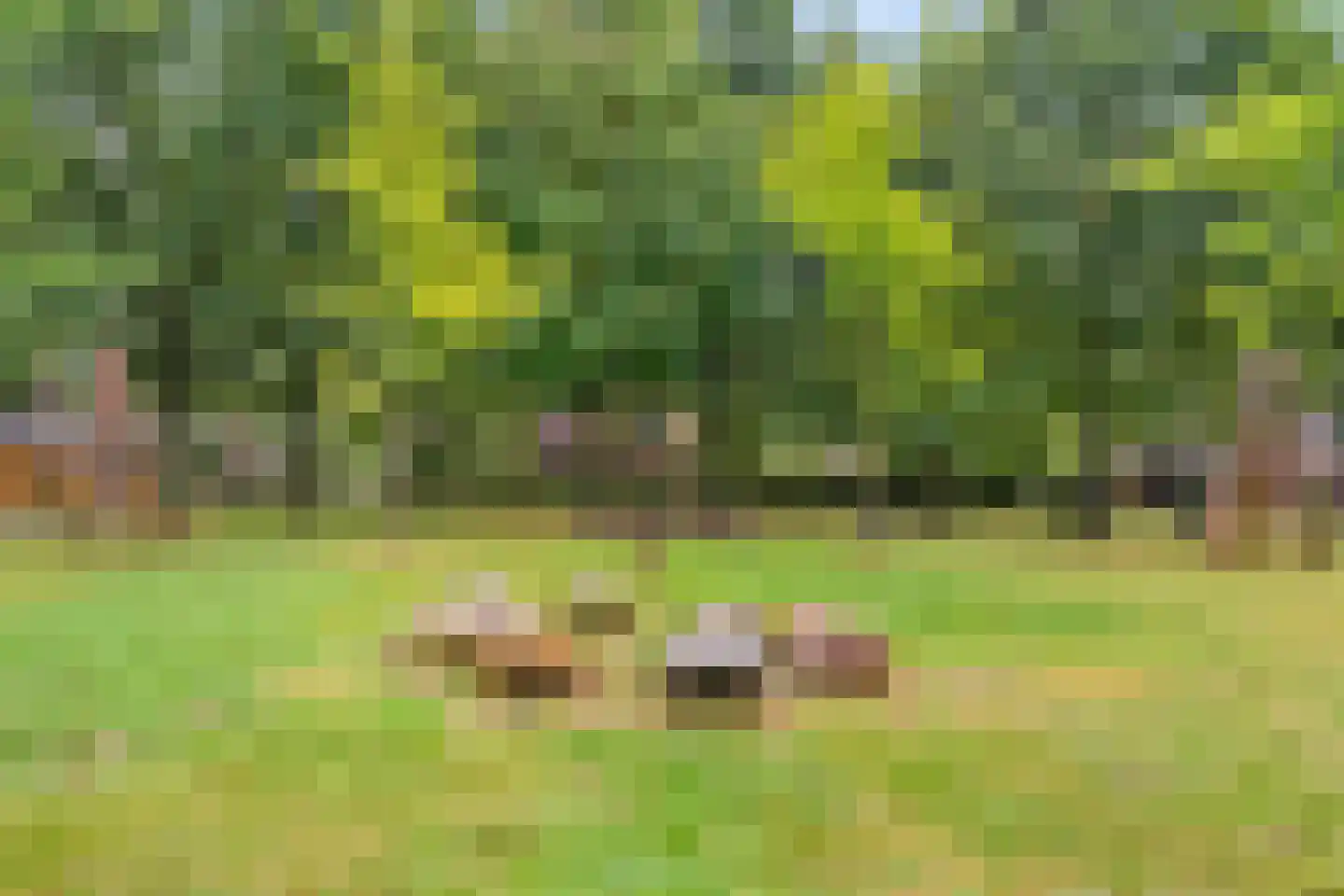 Ubachsberg 39 Amersfoort thumbnail 29