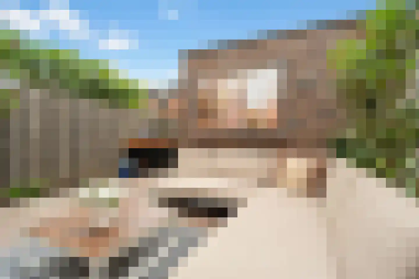 Ubachsberg 40 De Meern thumbnail 11