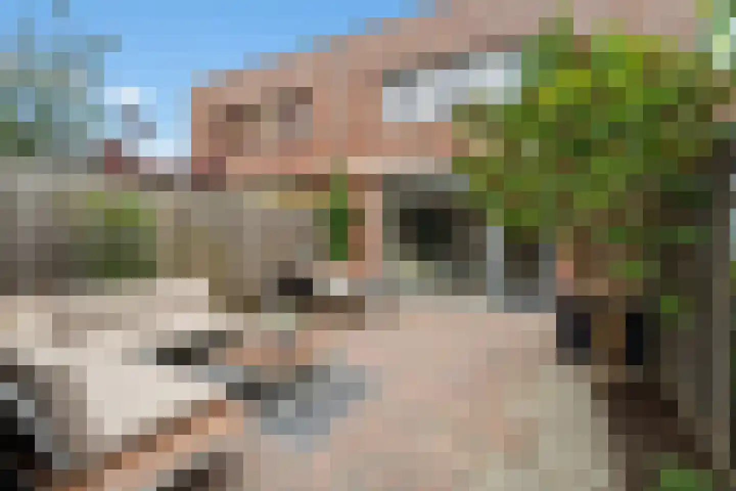 Ubachsberg 40 De Meern thumbnail 12