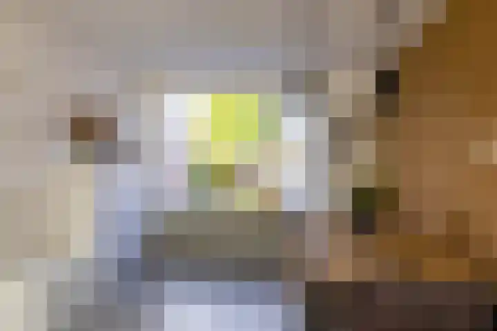 Ubbegalaan 19 Roodeschool thumbnail 14