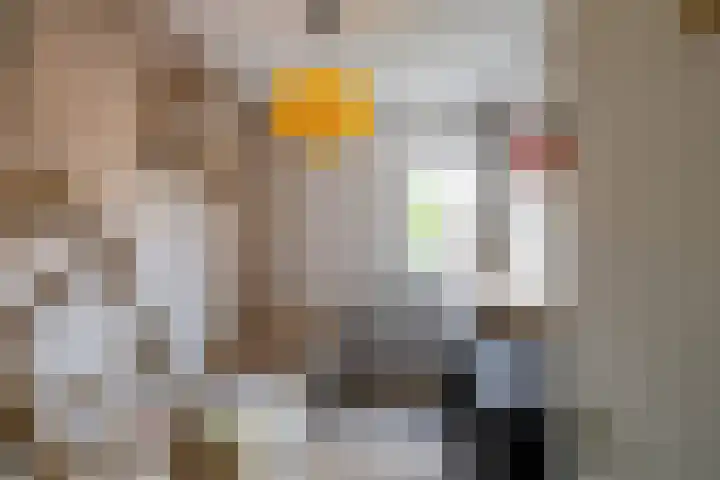 Ubbegalaan 19 Roodeschool thumbnail 17