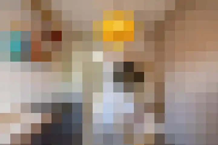 Ubbegalaan 19 Roodeschool thumbnail 18