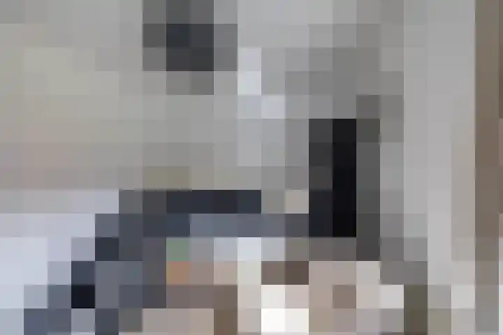 Ubbegalaan 19 Roodeschool thumbnail 21