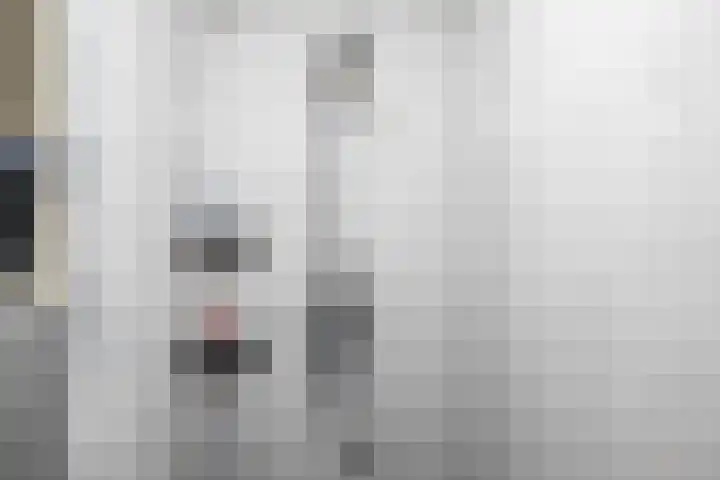 Ubbegalaan 19 Roodeschool thumbnail 25