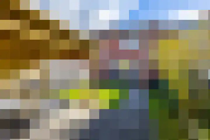 Ubbegalaan 19 Roodeschool thumbnail 29