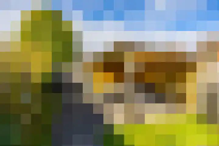 Ubbegalaan 19 Roodeschool thumbnail 30
