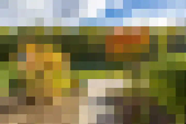 Ubbegalaan 19 Roodeschool thumbnail 32