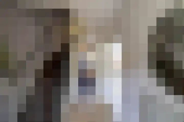 Ubbegalaan 19 Roodeschool thumbnail 4