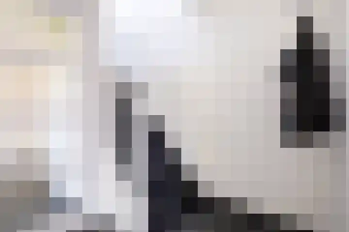 Ubbegalaan 34 Groningen thumbnail 22
