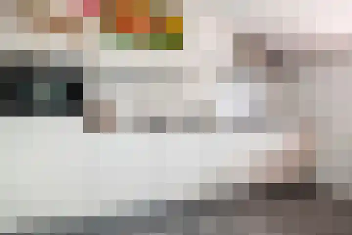Ubbegalaan 34 Groningen thumbnail 39