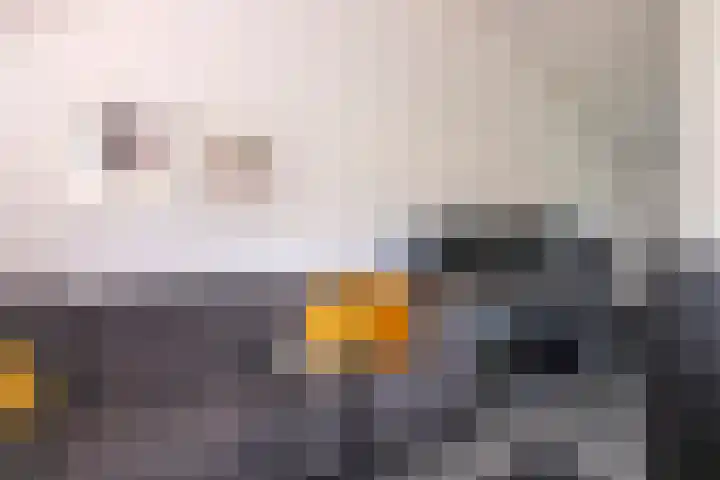 Ubbegalaan 34 Groningen thumbnail 41