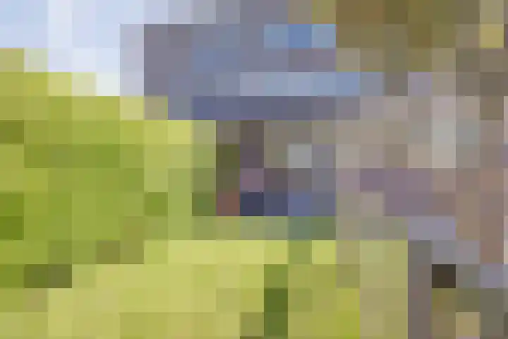 Ubbegalaan 34 Groningen thumbnail 5