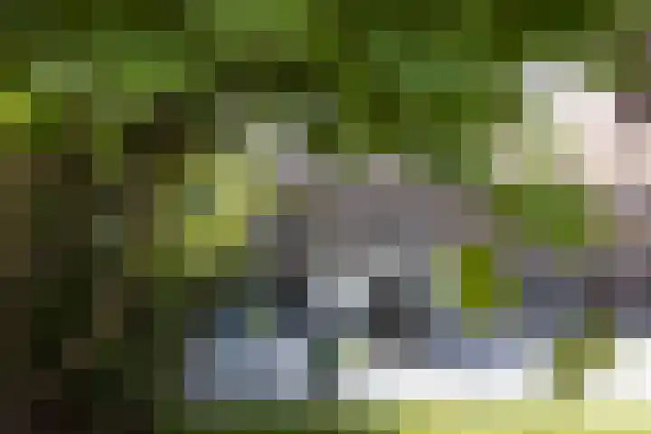 Ubbegalaan 34 Groningen thumbnail 52