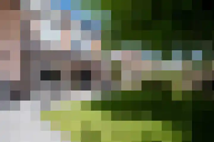Ubbegalaan 34 Groningen thumbnail 53