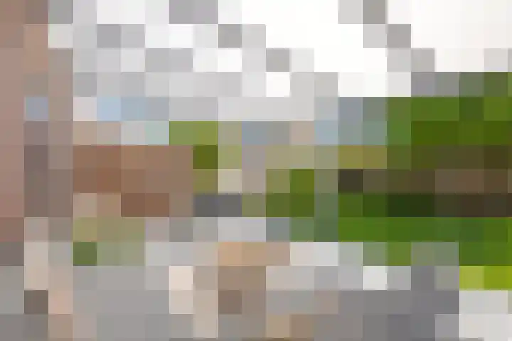 Ubbegalaan 34 Groningen thumbnail 57