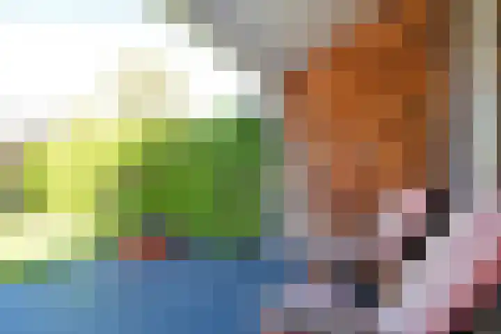 Ubbegalaan 34 Groningen thumbnail 60