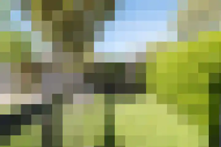 Ubbegalaan 34 Groningen thumbnail 61