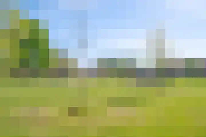 Ubbegalaan 34 Groningen thumbnail 64