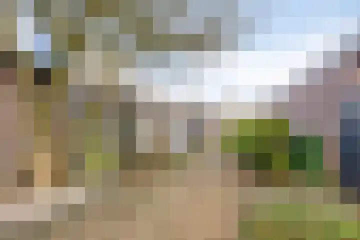 Ubbekingecamp 20 Emmen thumbnail 25