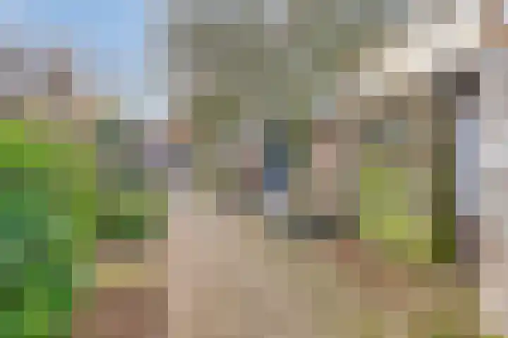 Ubbekingecamp 20 Emmen thumbnail 26