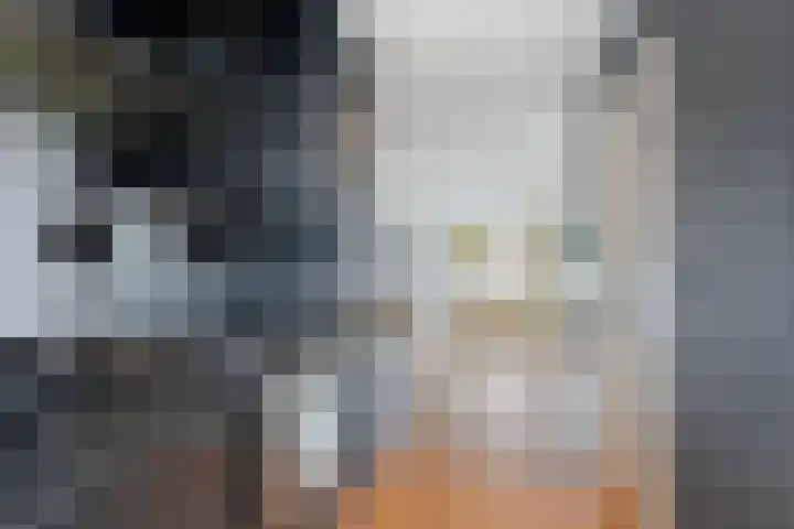 Ubbekingecamp 20 Emmen thumbnail 7